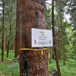 Den s LČR 2014 - Tvrz Bouda Těchonín 04