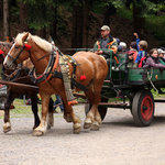 Den s LČR 2014 - Tvrz Bouda Těchonín 14