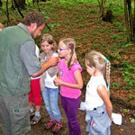 Den s LČR - Ústí - Cakle III