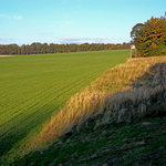 Pohled do honitby Skuhrov