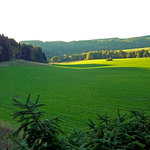 Pohled do honitby Skuhrov II